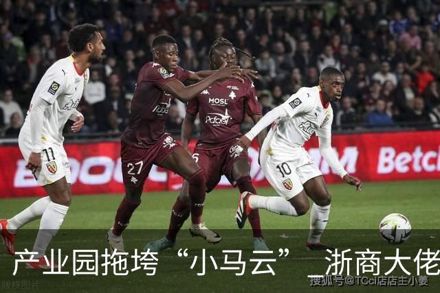 产业园拖垮“小马云” 浙商大佬被立案侦查
