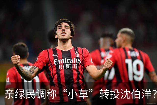 亲绿民调称“小草”转投沈伯洋？黄国昌:曹兴诚出资的没必要分析