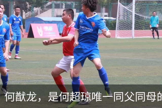 何猷龙，是何超琼唯一同父同母的亲弟弟