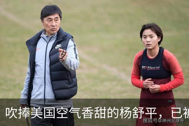 吹捧美国空气香甜的杨舒平，已被美国驱逐出境，回国后处境悲凉