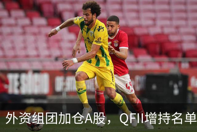 外资组团加仓A股，QFII增持名单曝光