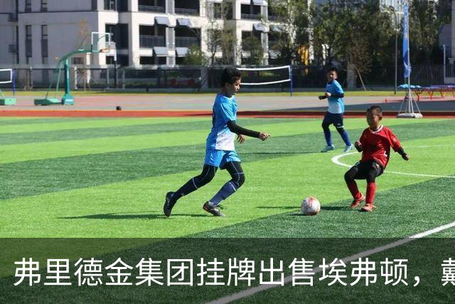 弗里德金集团挂牌出售埃弗顿，戴尔家族入局竞购