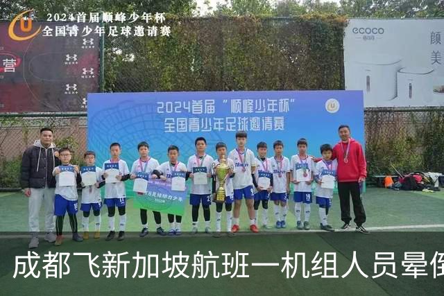 成都飞新加坡航班一机组人员晕倒，38岁女乘客在第二次广播响起时站了出来：“我离开急诊蛮久了，怕帮不到别人”