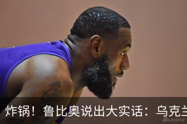 炸锅！鲁比奥说出大实话：乌克兰根本没有星盾使用权！