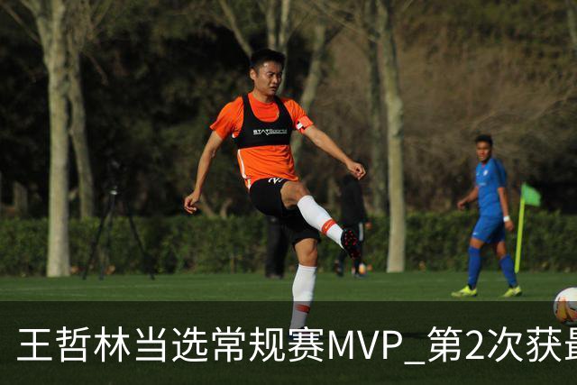 王哲林当选常规赛MVP 第2次获最有价值球员奖