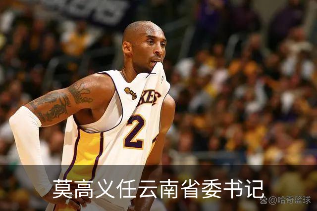 莫高义任云南省委书记