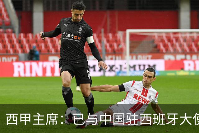西甲主席：已与中国驻西班牙大使会面 寻求解决办法