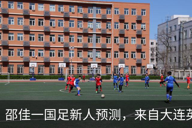 邵佳一国足新人预测，来自大连英博的他有望入选，值得期待