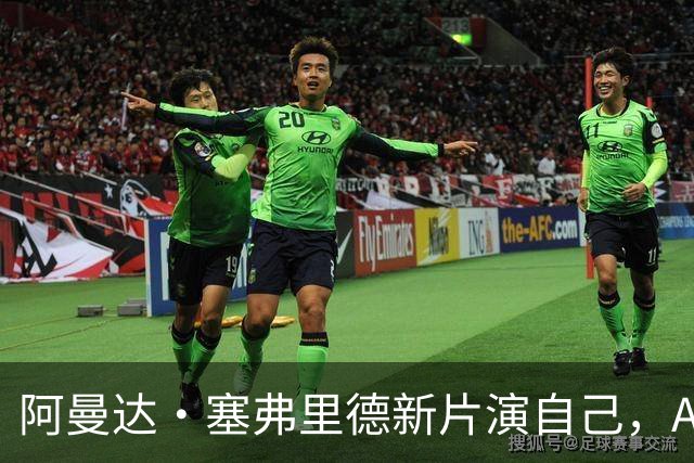 阿曼达·塞弗里德新片演自己，A24要为她冲奥？